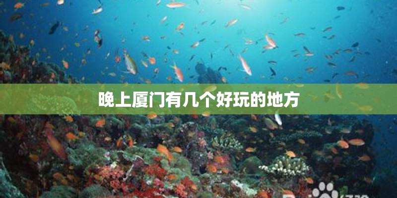 晚上厦门有几个好玩的地方