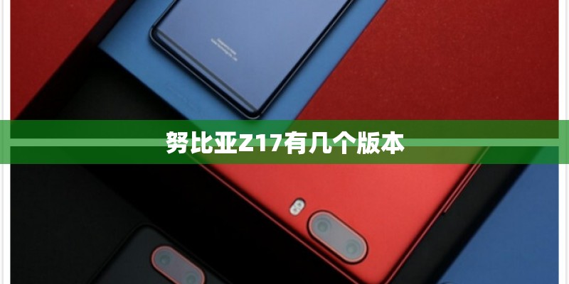 努比亚Z17有几个版本