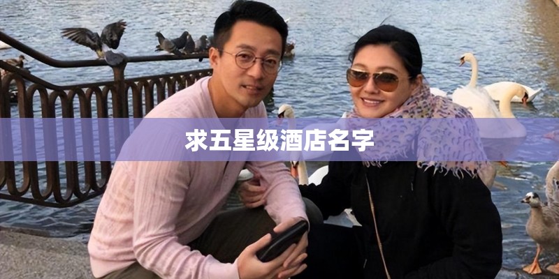 求五星级酒店名字