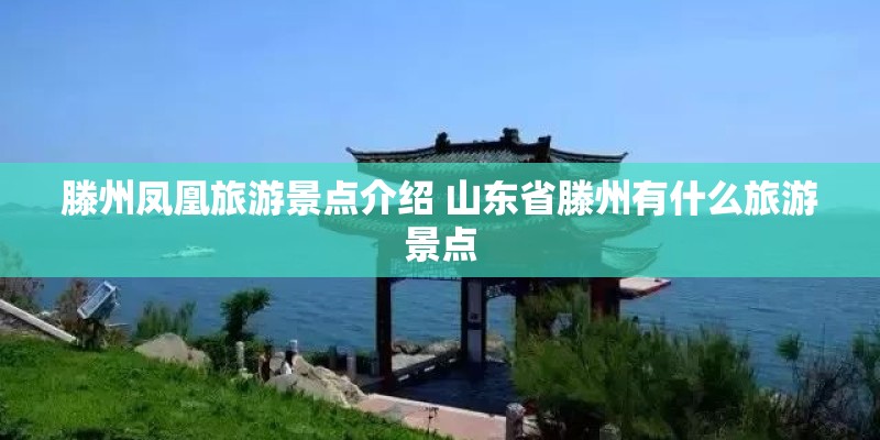 滕州凤凰旅游景点介绍 山东省滕州有什么旅游景点 滕州凤凰旅游景点介绍 山东省滕州有什么旅游景点