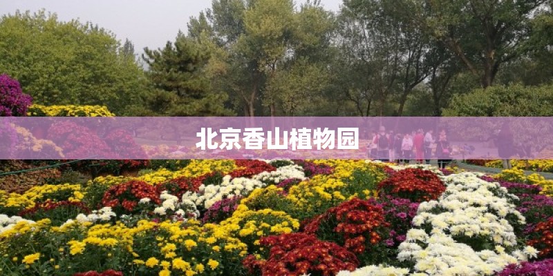 北京香山植物园