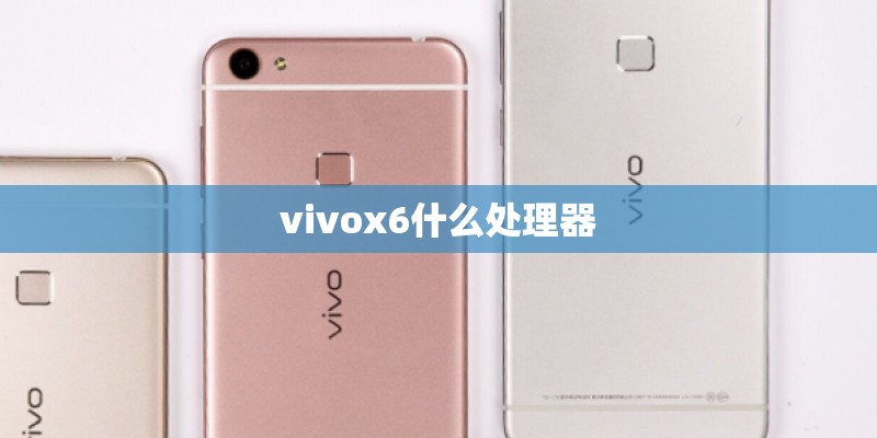 vivox6什么处理器 vivox6什么处理器