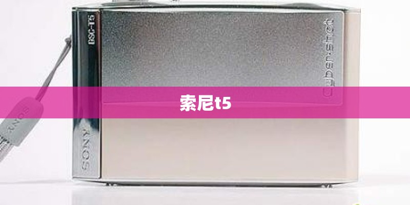 索尼t5 索尼t5