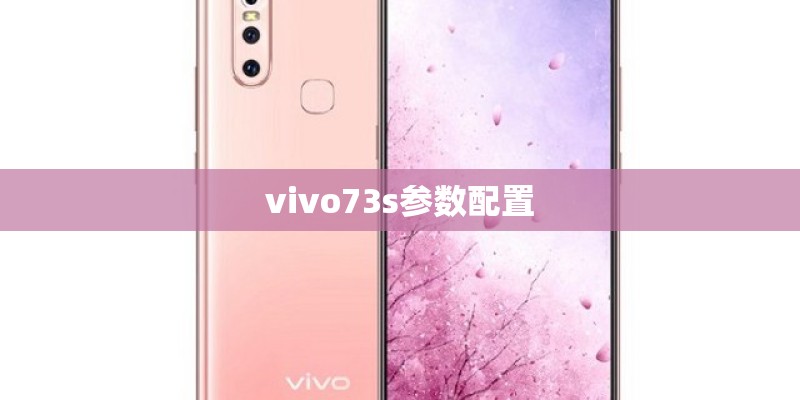 vivo73s参数配置