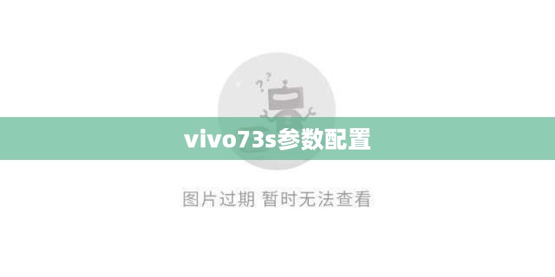 vivo73s参数配置
