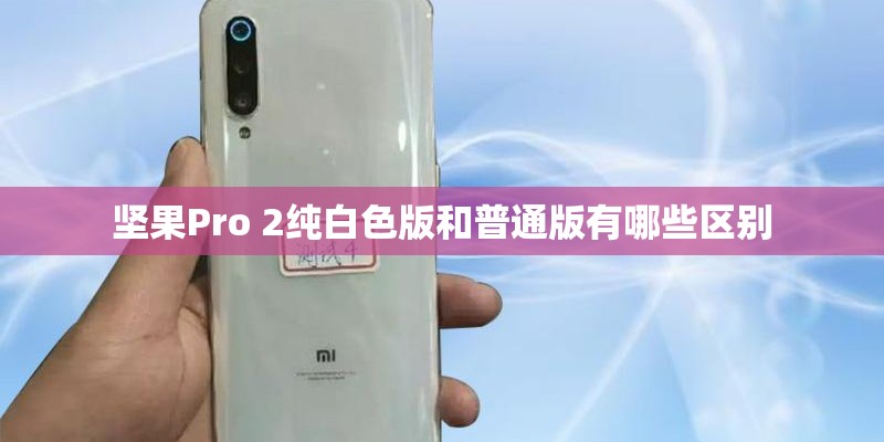 坚果Pro 2纯白色版和普通版有哪些区别
