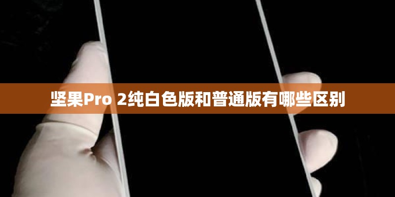 坚果Pro 2纯白色版和普通版有哪些区别