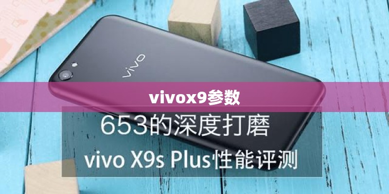 vivox9参数