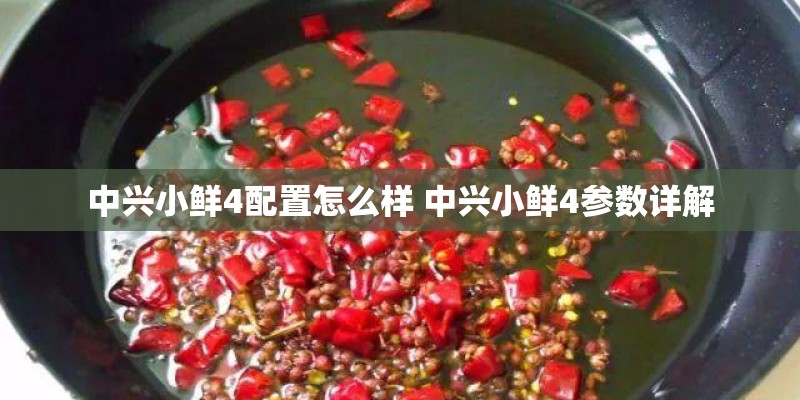 中兴小鲜4配置怎么样 中兴小鲜4参数详解