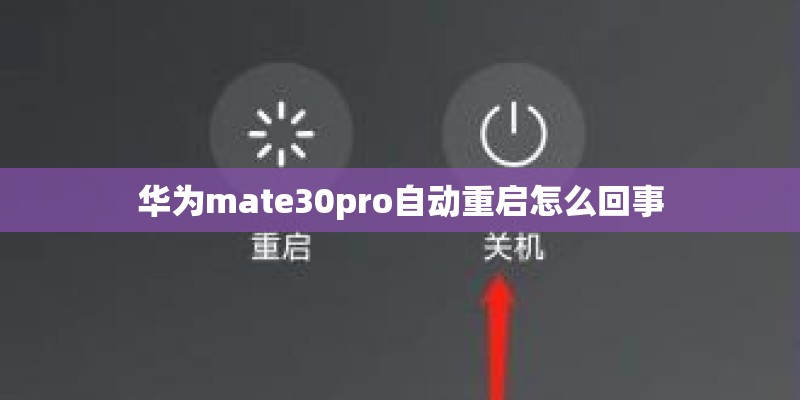 二手苹果xs跟xr建议买哪个？