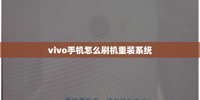 vivo手机怎么刷机重装系统