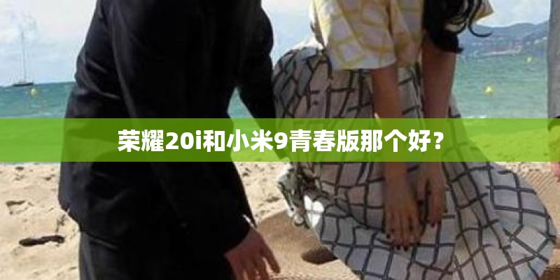 荣耀20i和小米9青春版那个好？
